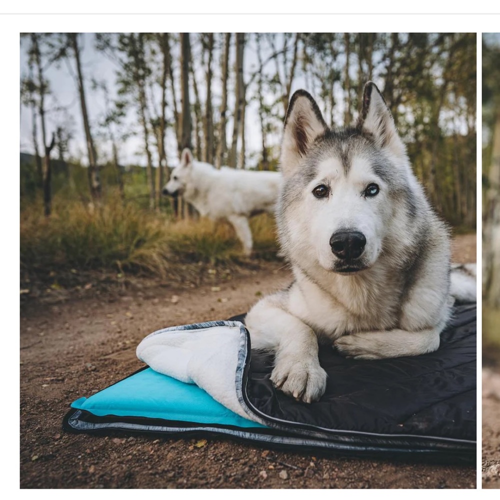 Rumpl - The Travel Dog Bed - Picture 9 of 9